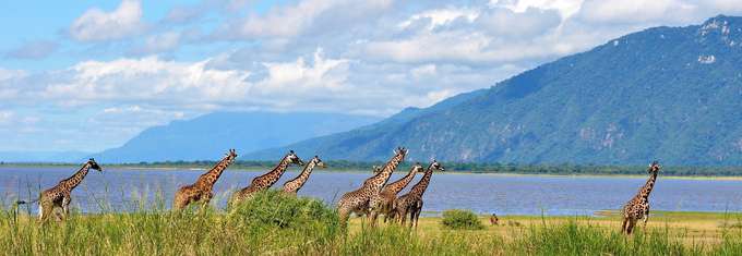 Lake Manyara National Park, Kenya