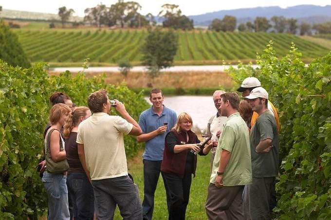 Winery in Shamakhi, Azerbaijan