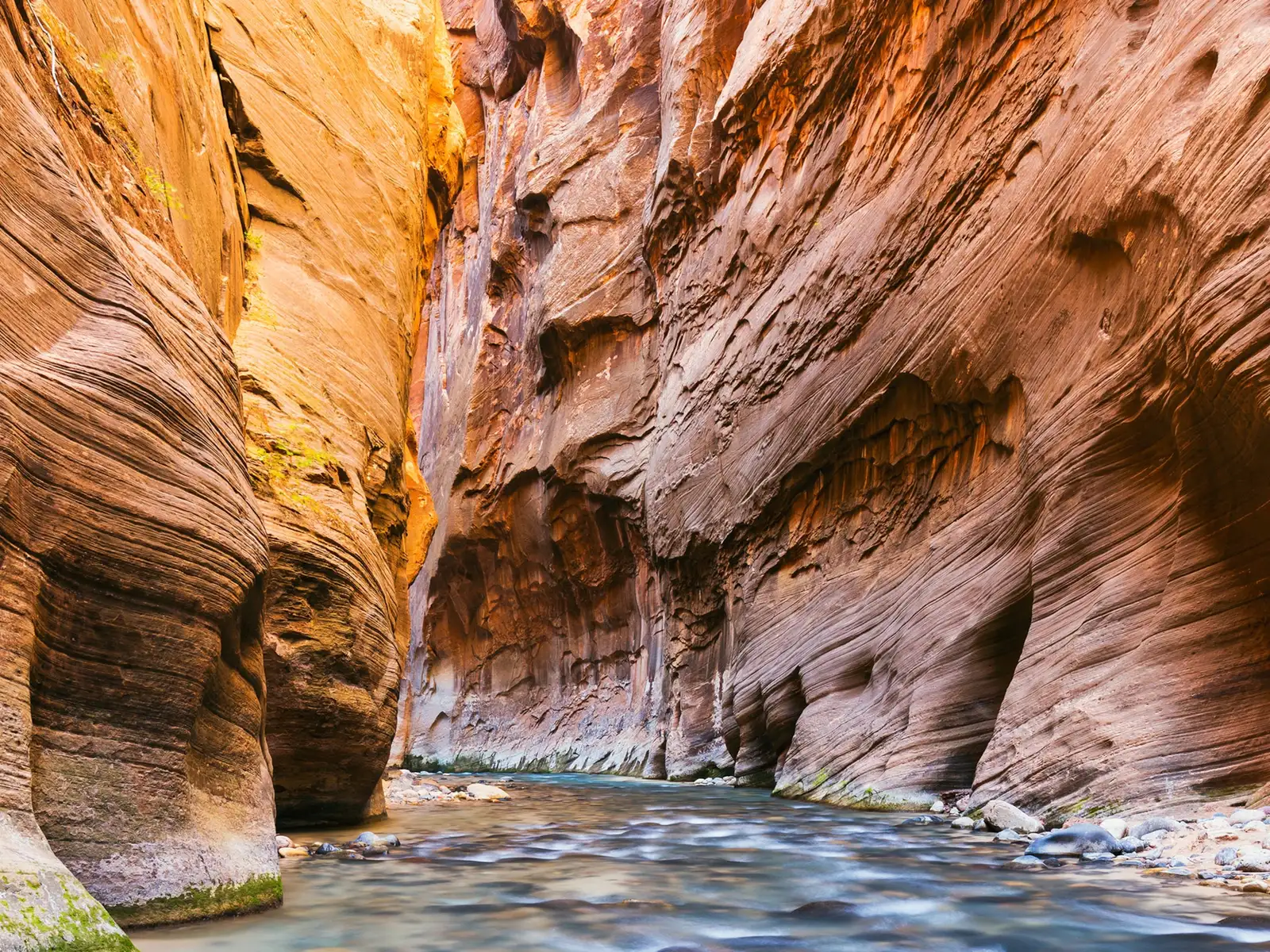 Tour to Bryce and Zion National Parks from Las Vegas Image