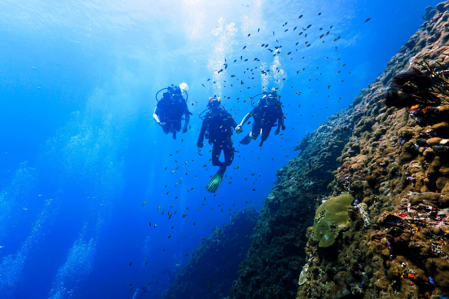 Scuba Diving in Koh Lanta Image