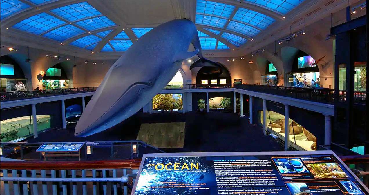 American Museum of Natural History Tickets Image