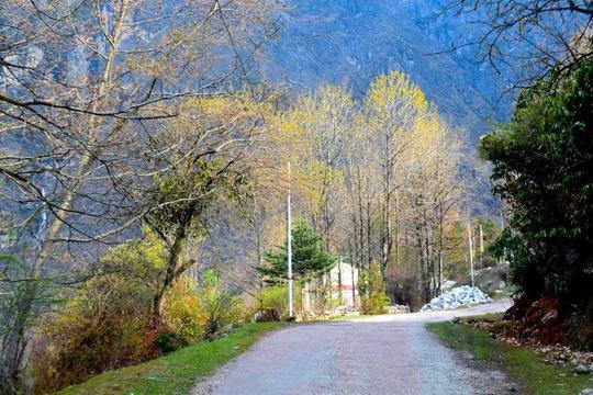 Trip to Mount Katao, Lachung Image