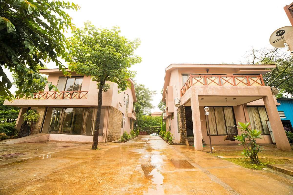 Outdoor view of property surrounded by tall trees