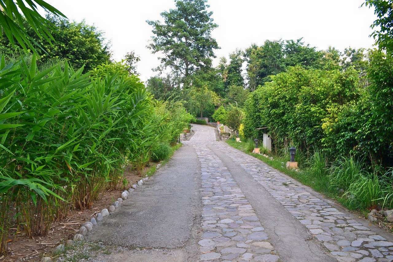 Samsara Resort Jim Corbett | Luxury Staycation Deal Image