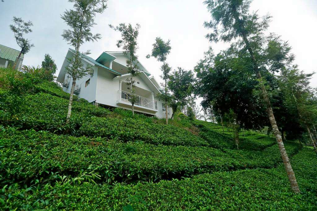 Rivulet Resort Image