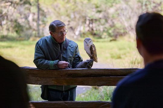 Eagles Heritage Raptor Wildlife Centre Tickets Image