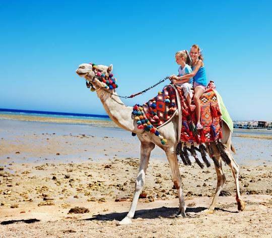Camel Safari with Cultural Program Tickets Image