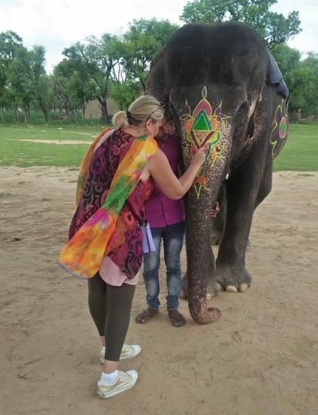 A day with an Elephant Image