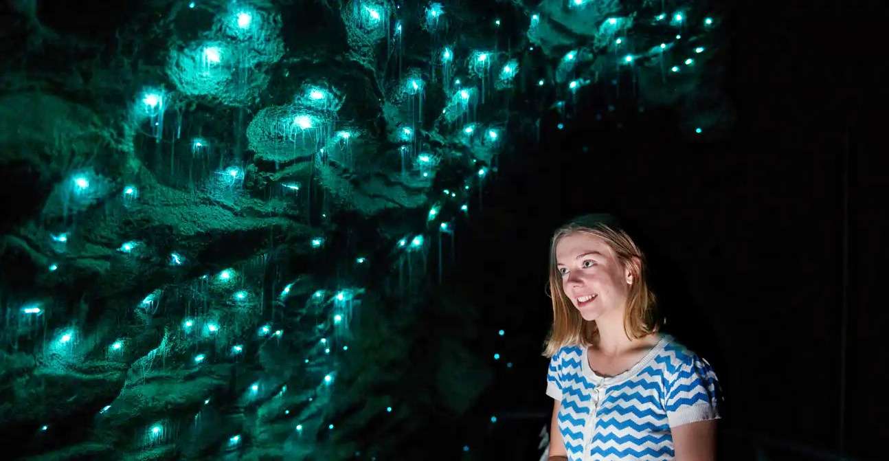 Ruakuri Cave Tour Image