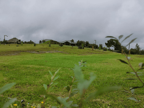 Mawphlang Sacred Forest