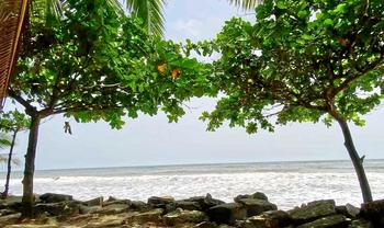 0eplrsgbmfk618x4mtbme6pvd3ox 1550734086 serene ezhara beach20170925085914 11 7 20180526195527.jpg