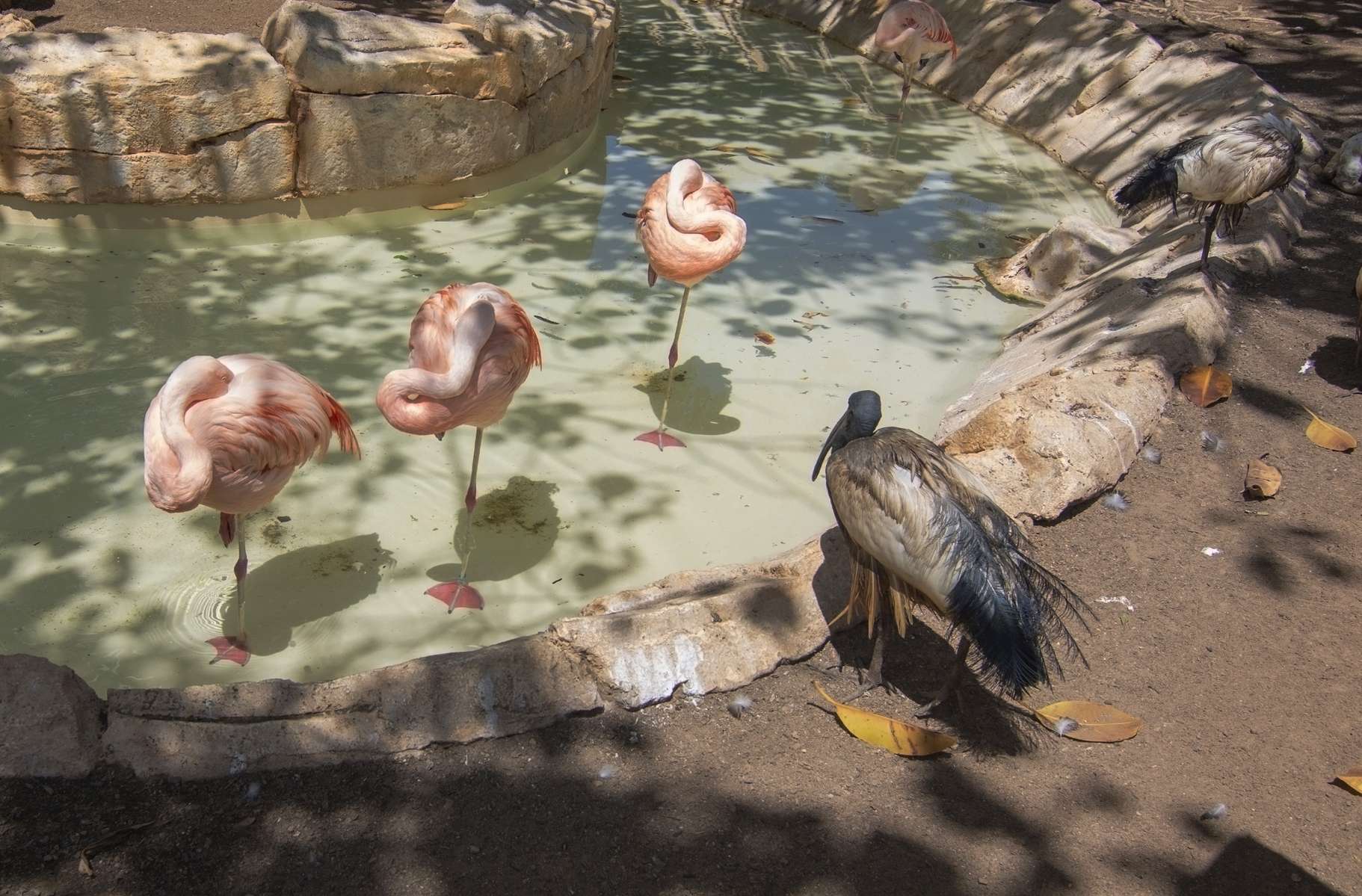 Marineland Mallorca Tickets Image