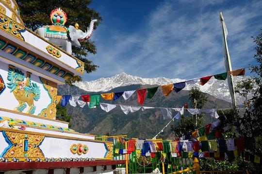 Dharamshala Mcleodganj Tour Package Image