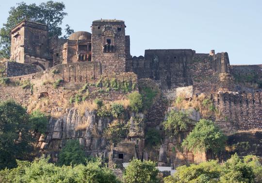Ahmedabad To Ranthambore Tour Package Image