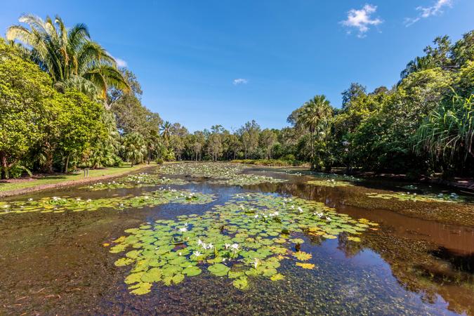 Cairns Botanic Gardens