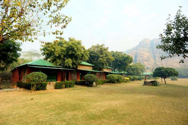 0m6zh13fcetxk8fhahdg53y7gu2m 184124483