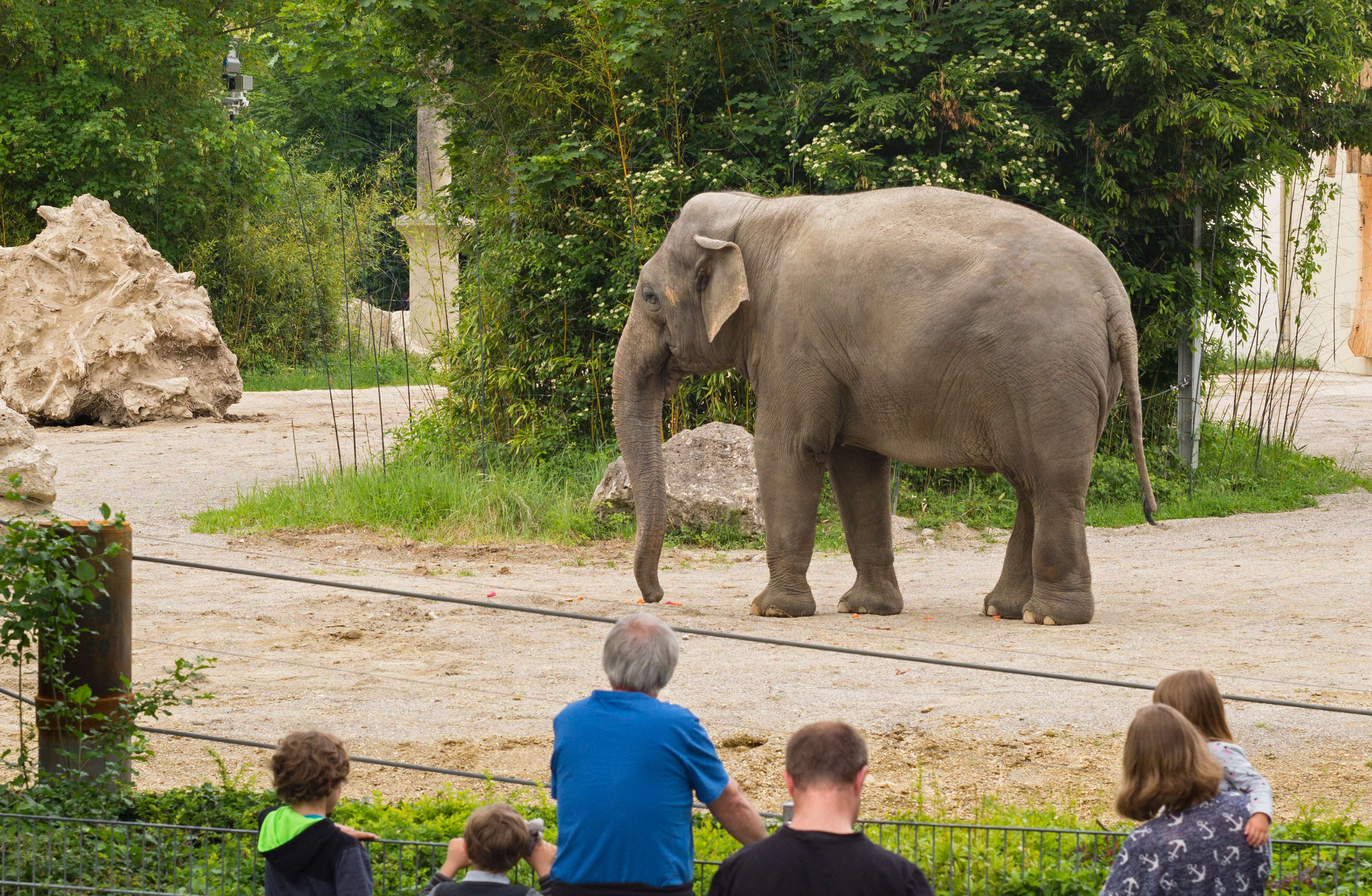 Welcome to Hellabrunn Zoo in Munich