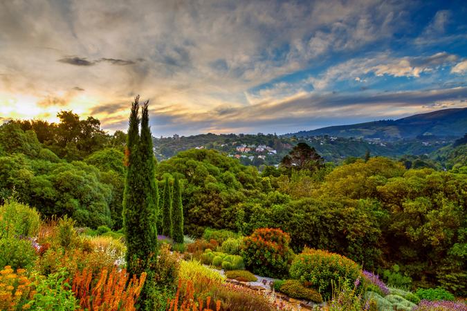 Dunedin Botanic Garden