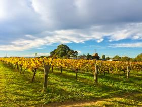 0qul4q83u166mw9qidl7149hidd1 1606389215 shutterstock 666039385