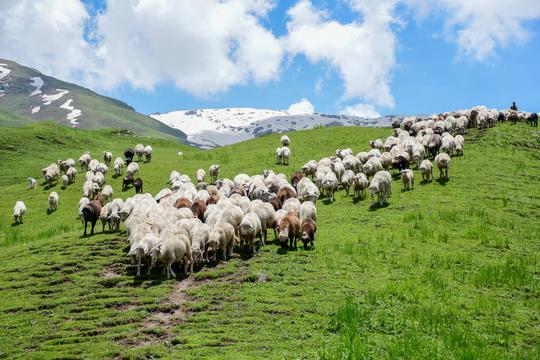 Bhrigu Lake Trek From Delhi Image