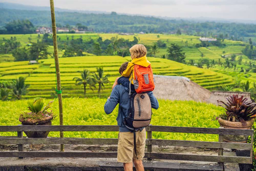 Go on a scenic tour to Rice Terraces 