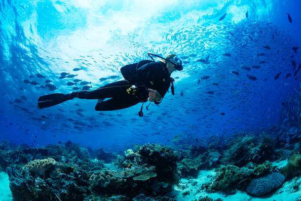 Go scuba diving in the crystal-clear waters of Netrani Island and spend 4 hours exploring its rich marine life