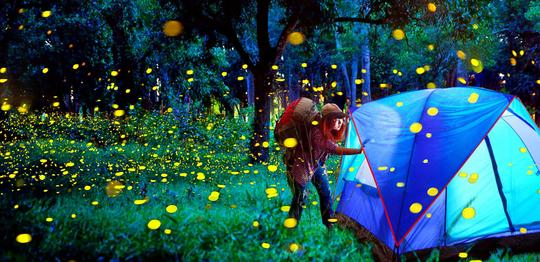 Rajmachi Fireflies Trek Image