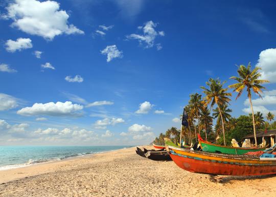 Romantic Escape to Kerala Image