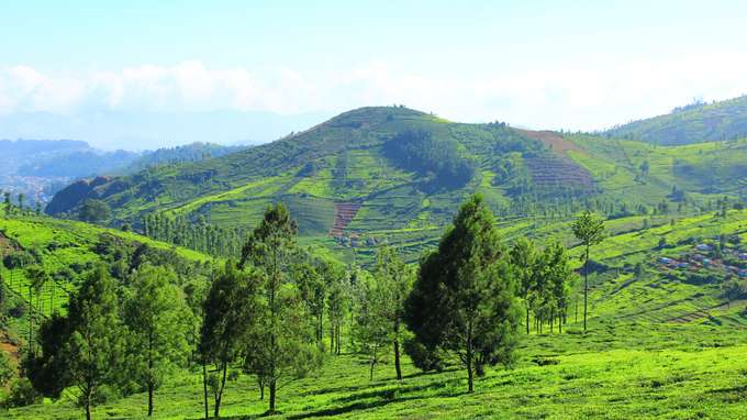 Kotagiri Trek Ooty