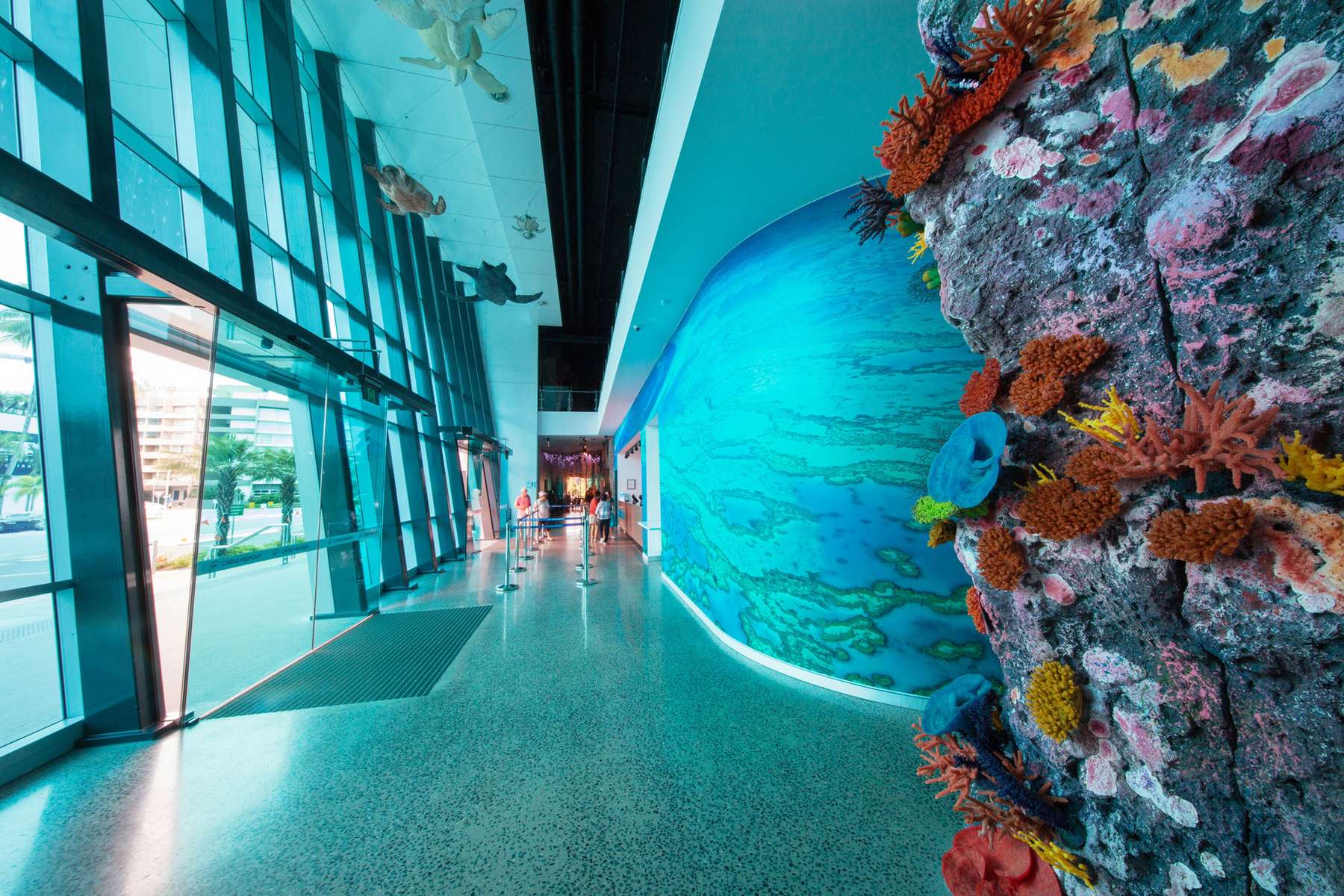 Cairns Aquarium Tickets Image