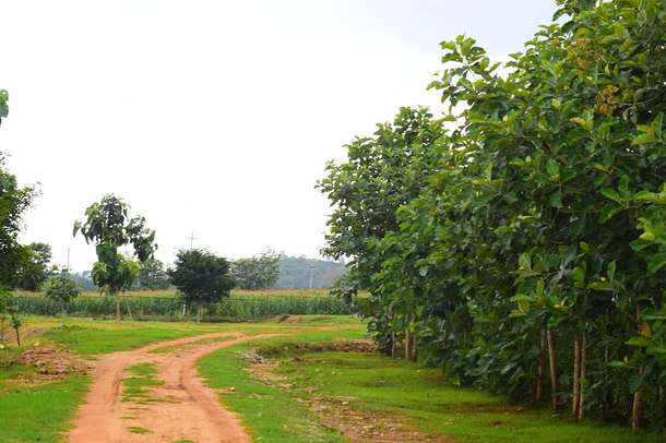 0z6no8qymprqbyh36nijfa5qjtum pathway