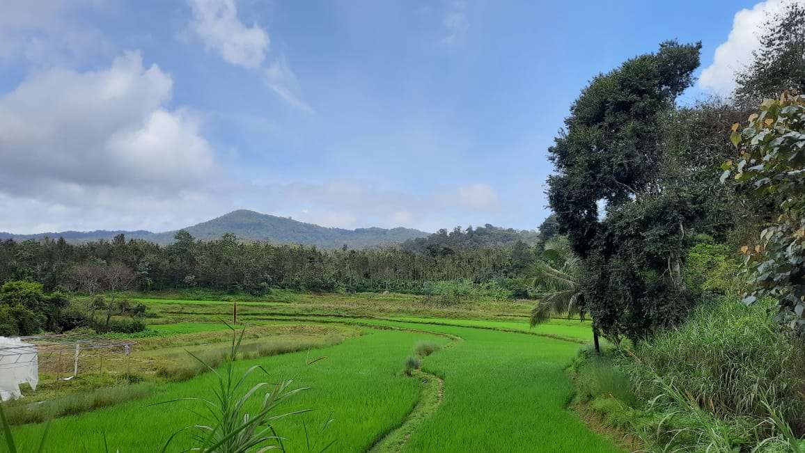 Hillside Camping in Coorg Image