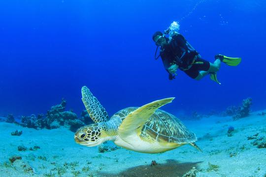 Scuba Diving In Phuket Image