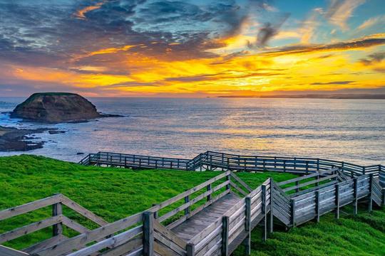 Phillip Island Penguin Parade Tickets Image