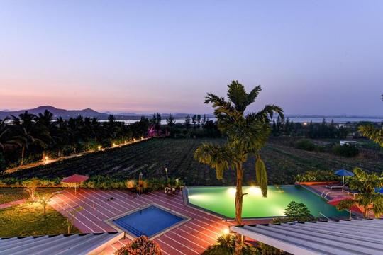 Soma Vineyards Image