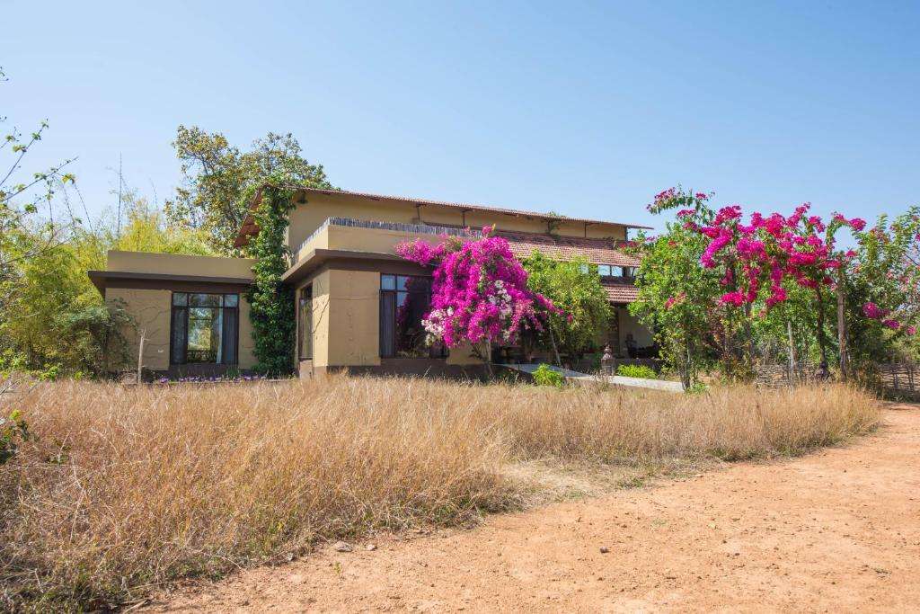 Exterior view of the cottages