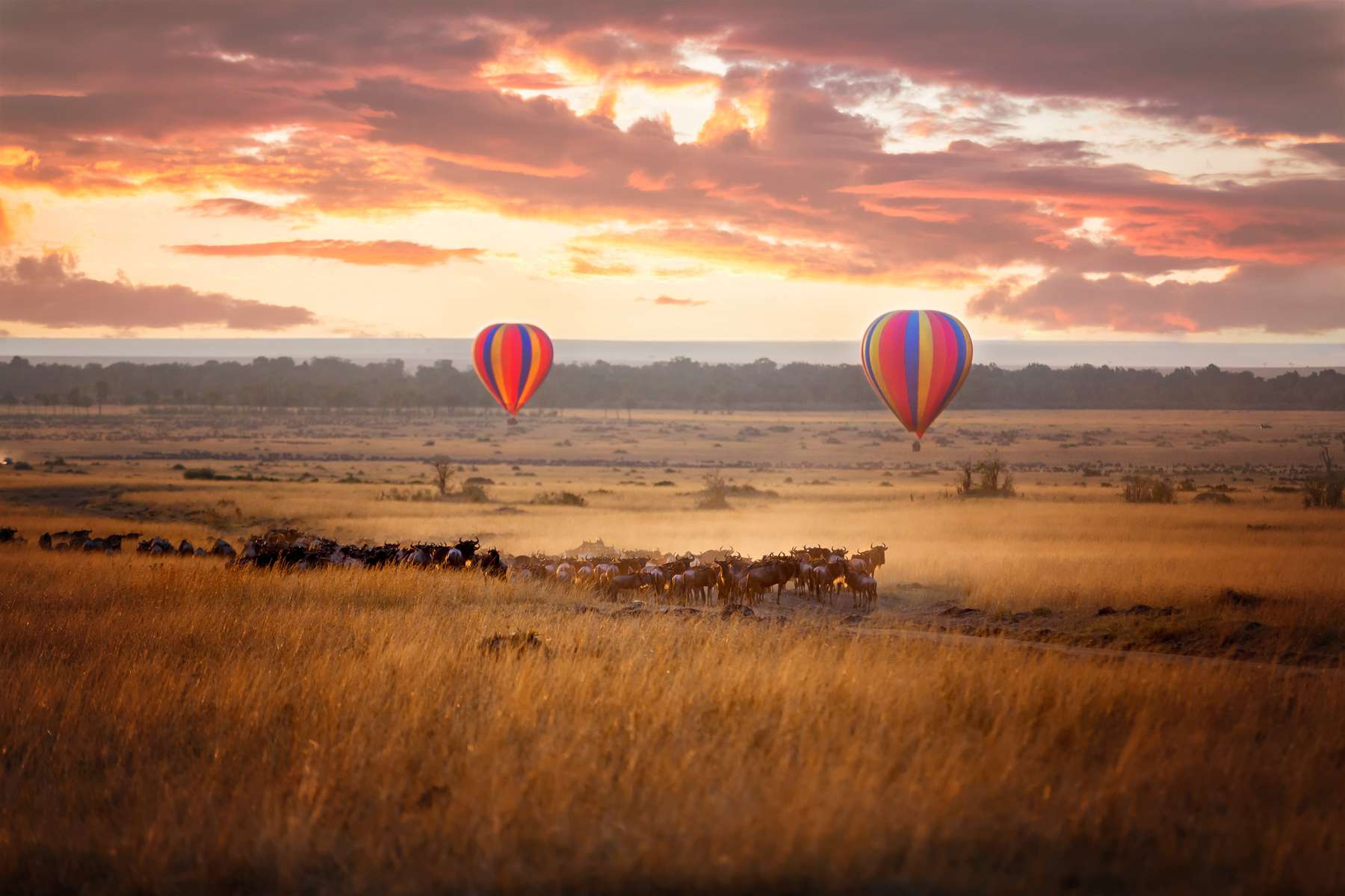 Masai Mara Safari Package from India Image