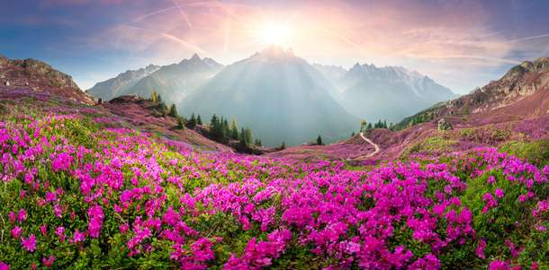 Visit the valley of flowers with your friends and family