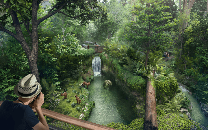 Rainforest Wild Asia