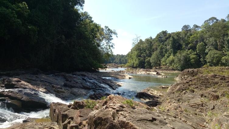 Endau Rompin National Park