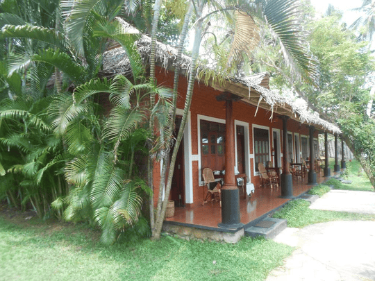 Soma Palmshore Image