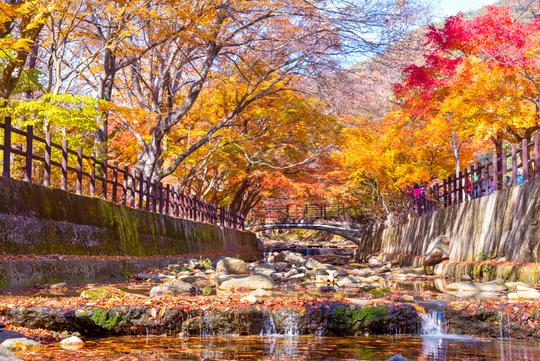 Exciting South Korea In 9 Days Image