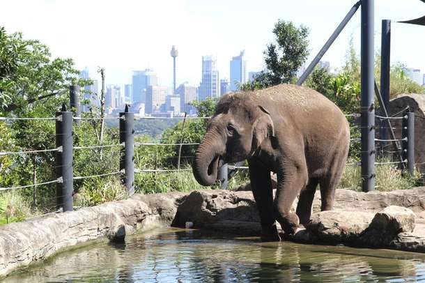 184psu734x64um25bavj88s1nbut downpic.cc 127036002