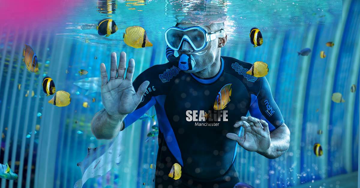 SEA LIFE Aquarium Tickets, Manchester Image