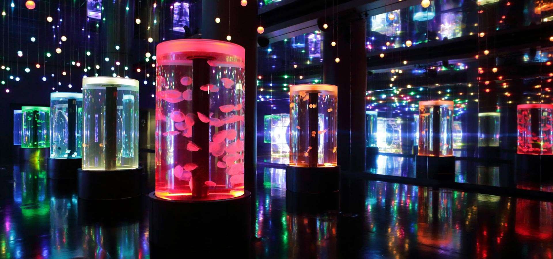 Aqua Park Shinagawa Ticket Image