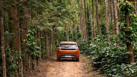 A Farm Homestay With Coffee Plantation View in Chikmagalur Image