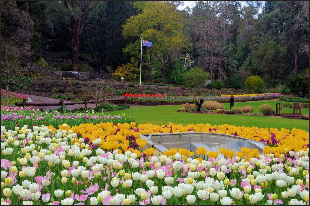 Welcome to the Araluen Botanic Park