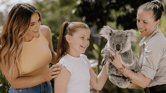 Cuddle up close with adorable koalas for a memorable photo at Paradise Country 