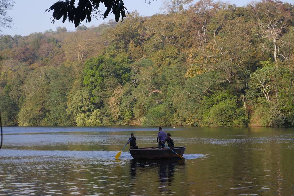 An Adventurous Resort Stay into the Woods of Dandeli Image