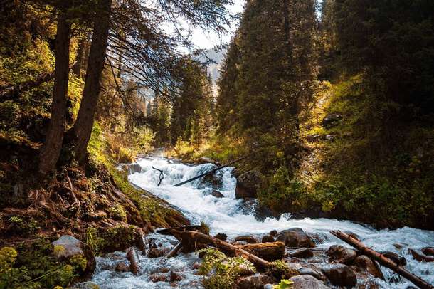 1dqsdb18kpm3ki5cdsgvhmaoihhh downpic.cc image561926832